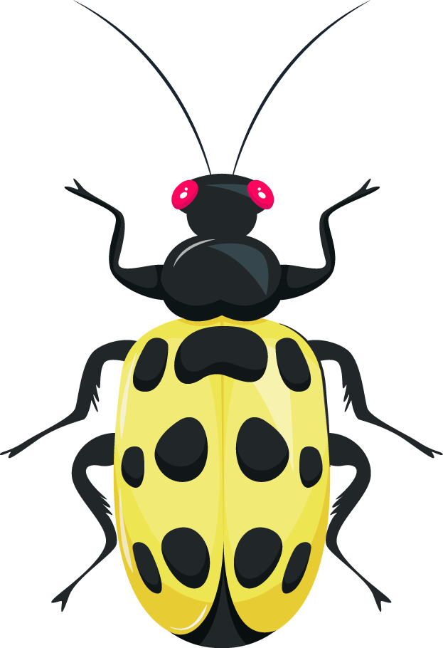 colorful symmetric bugs insects icons for nature lovers and educational purposes