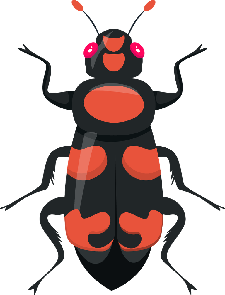 colorful symmetric bugs insects icons for playful educational projects and nature-themed apps