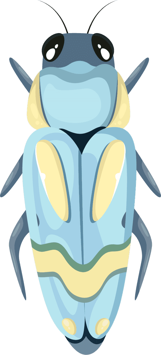 bugs insects icons colorful symmetric for nature themed projects and educational materials