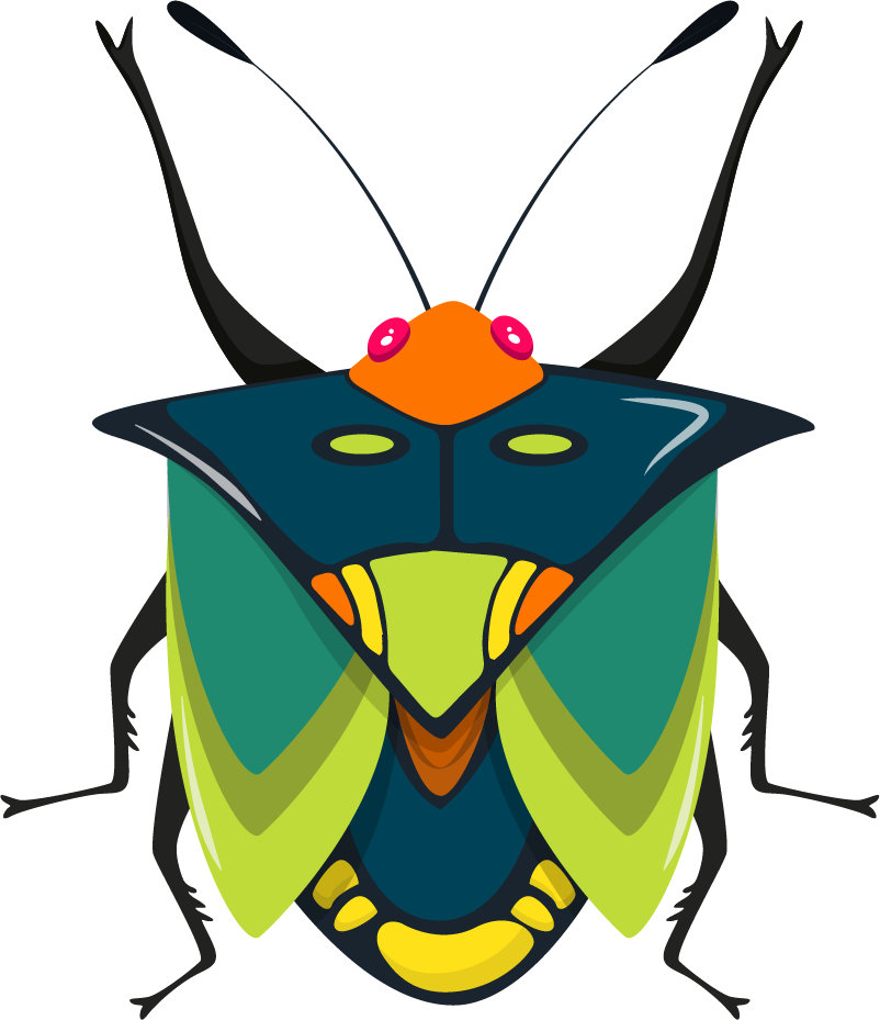 colorful symmetric bugs insects icons for nature-themed projects and educational purposes