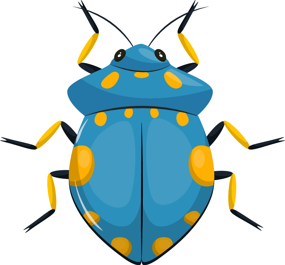 bugs insects icons colorful symmetric patterns for educational and decorative purposes