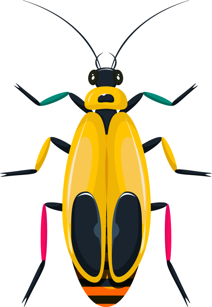 bugs insects icons colorful symmetric art for nature-themed projects and decor