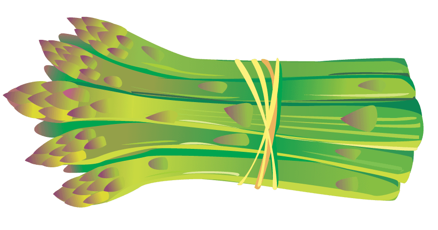 bunch of asparagus wine with cheese and grapes bread vector