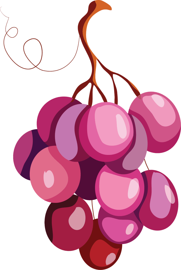 bunch of grapes autumn elements classical nature elements sketch