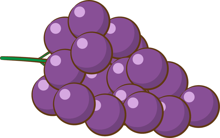 bunch of grapes colorful cartoon different types of grapes and wine set isolated on white