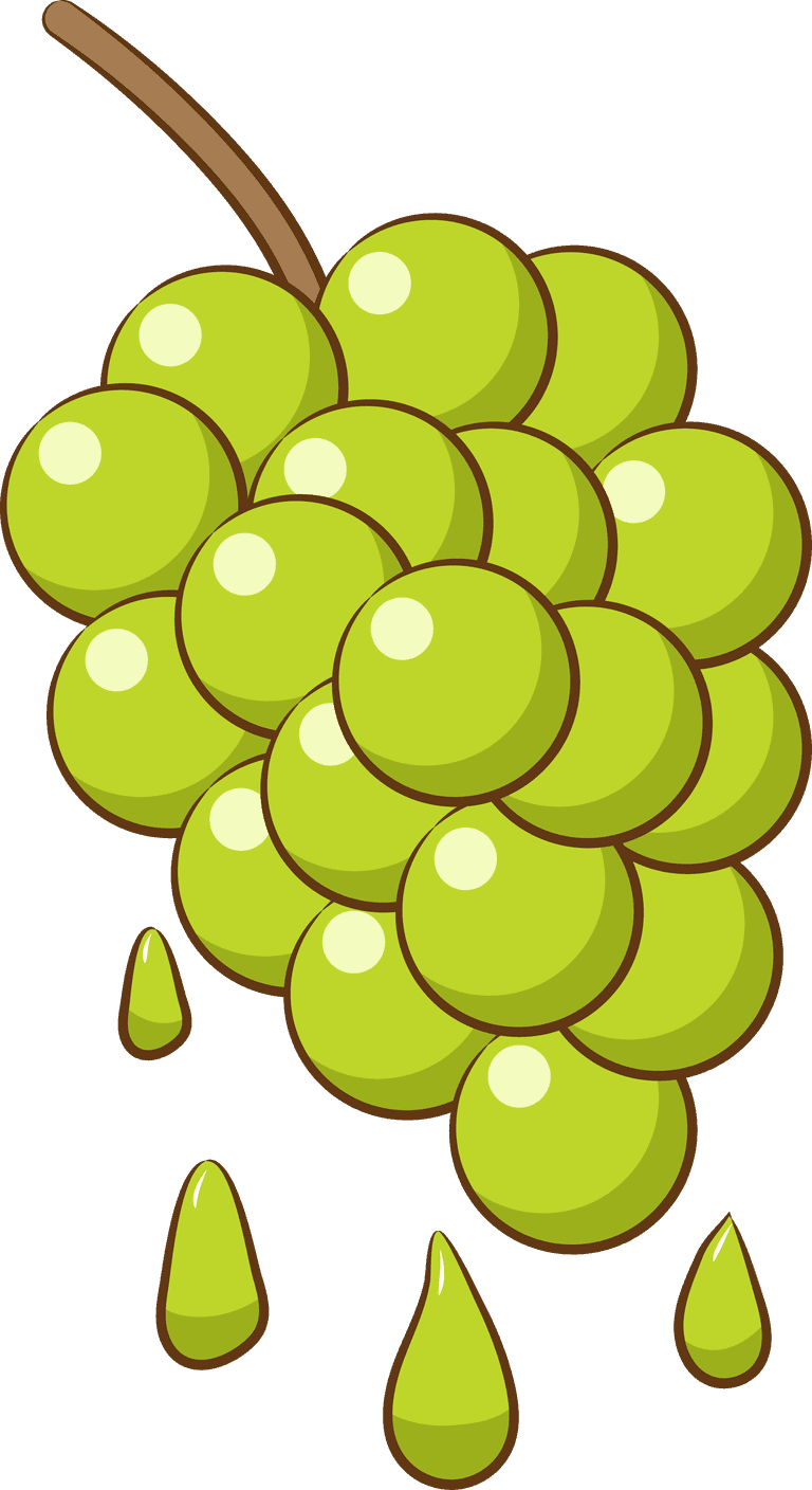 bunch of grapes colorful cartoon different types of grapes and wine set isolated on white