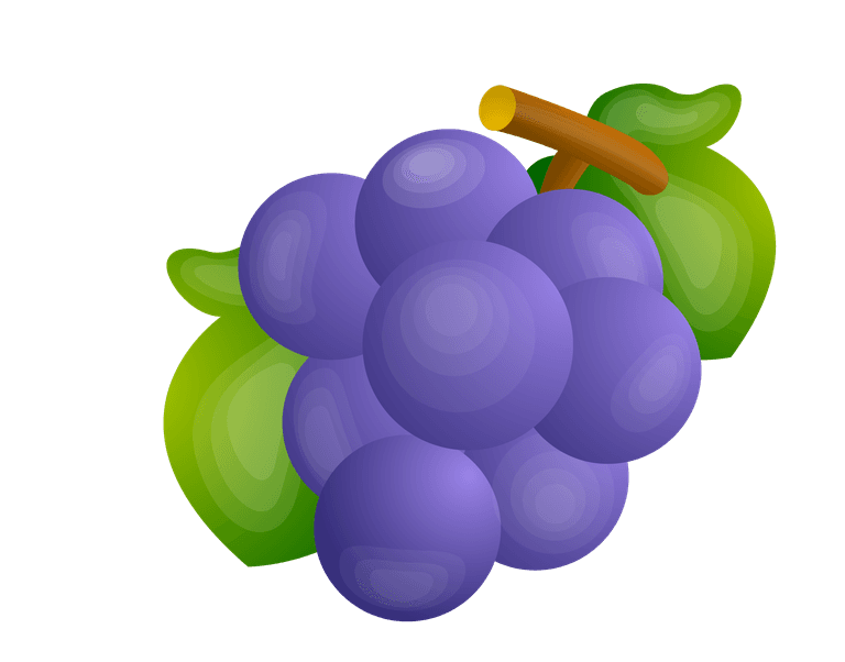 bunch of grapes fruit of grapes vector
