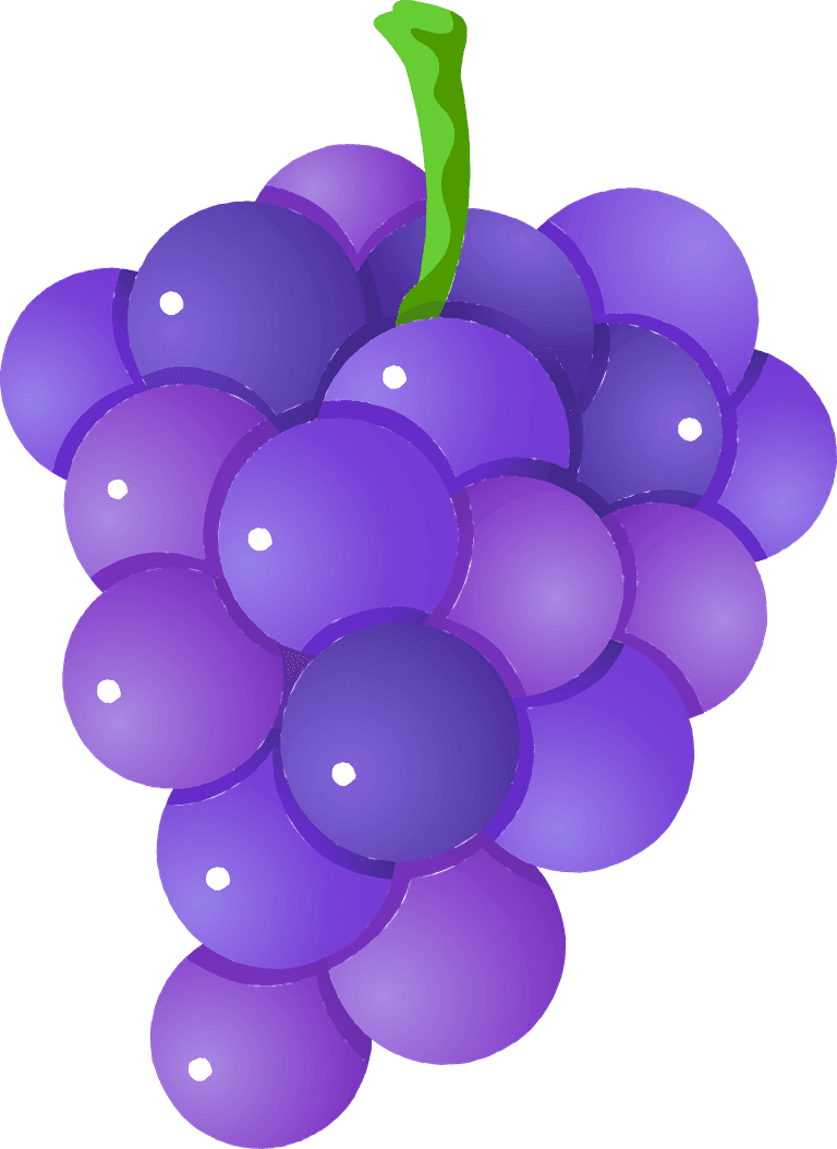 bunch of grapes fruit of grapes vector