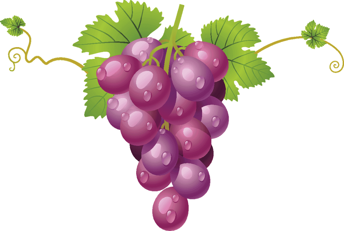 vibrant bunch of grapes fruits vector for fresh produce markets and organic branding