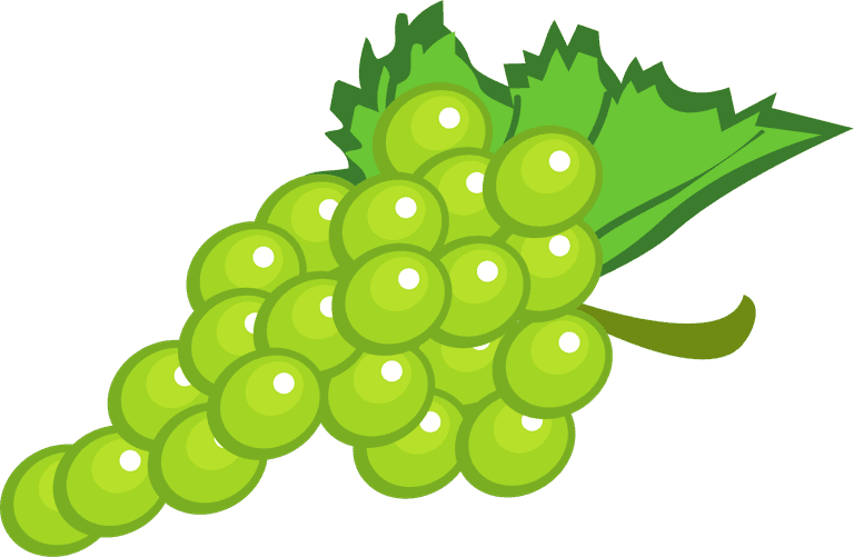 bunch of grapes realistic grapes and wine vector