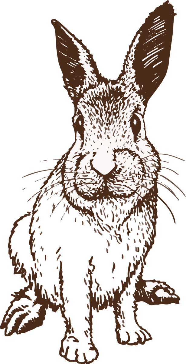 bunnies cartoon rabbit vector illustration for playful designs and children's themes