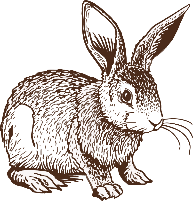 adorable bunnies cartoon rabbit vector art perfect for children's book illustrations