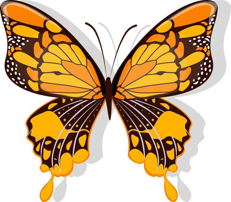 butterfly butterflies icons collection colorful modern 