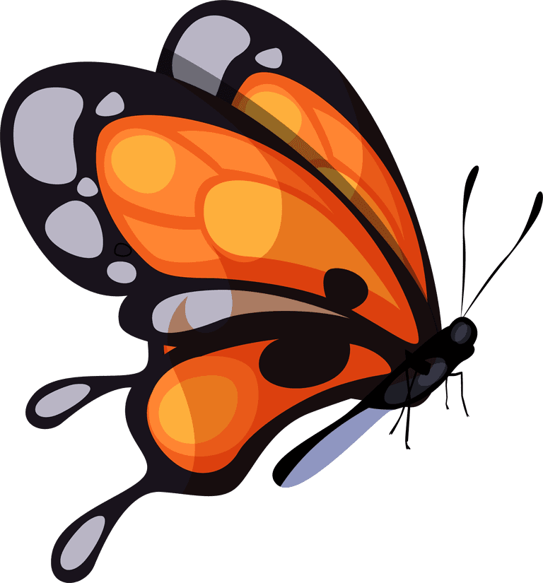 butterfly butterflies icons dynamic flying sketch colorful 
