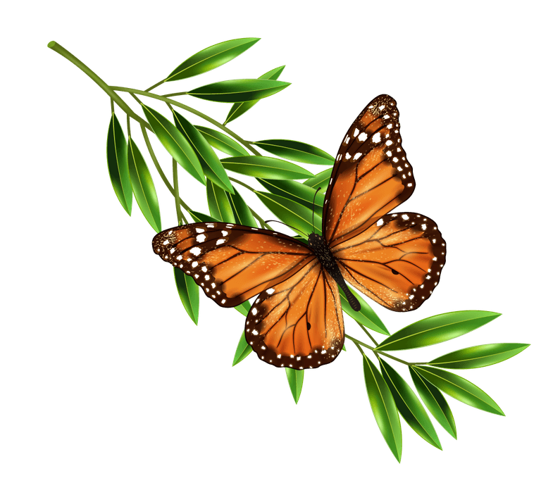 butterfly butterfly pest control icons set