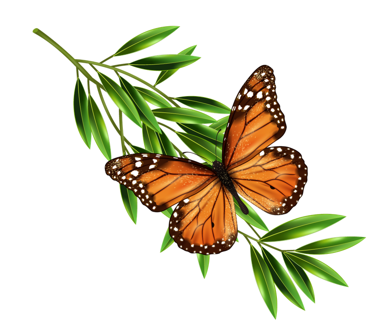 butterfly butterfly pest control icons set