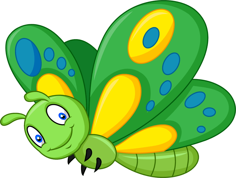 butterfly cartoon collection of butterfly on white background