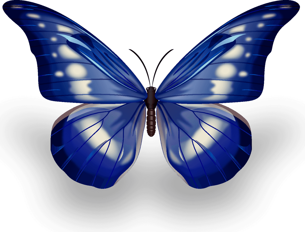 butterfly excellent collection butterflies showcasing vibrant colors and intricate details for nature lovers