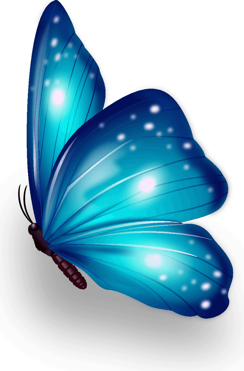 butterfly excellent collection butterflies in vibrant hues for nature enthusiasts and art lovers
