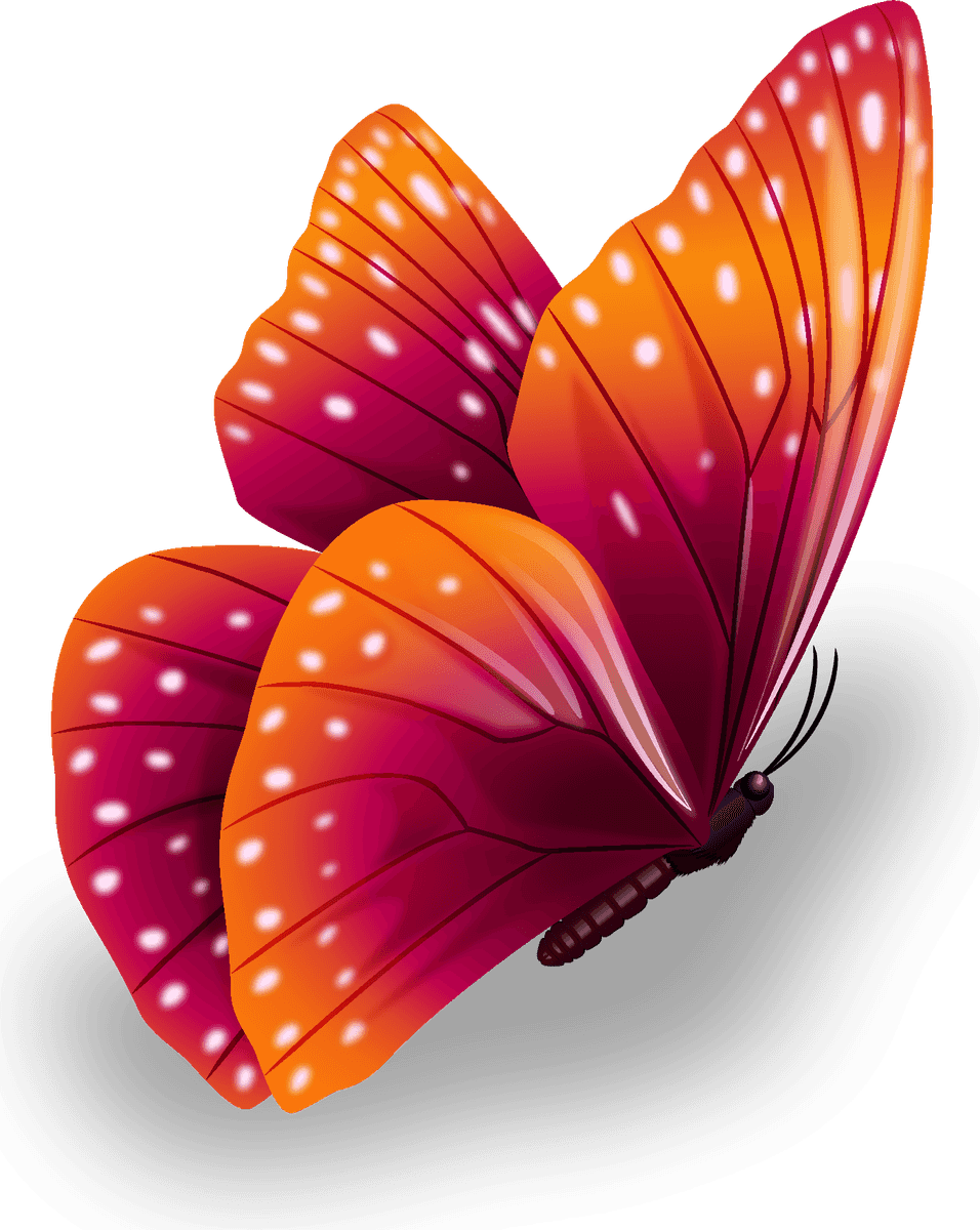 butterfly excellent collection butterflies for vibrant decorations and artistic projects