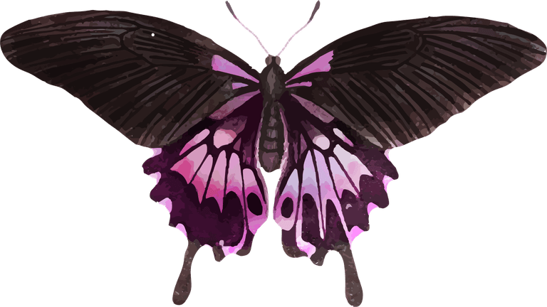 butterfly pink holographic glittery butterfly element set vector