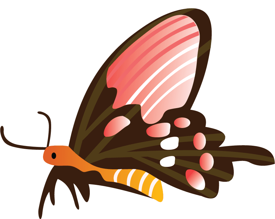 colorful butterfly hexapod graphics for whimsical nature-themed projects and decor