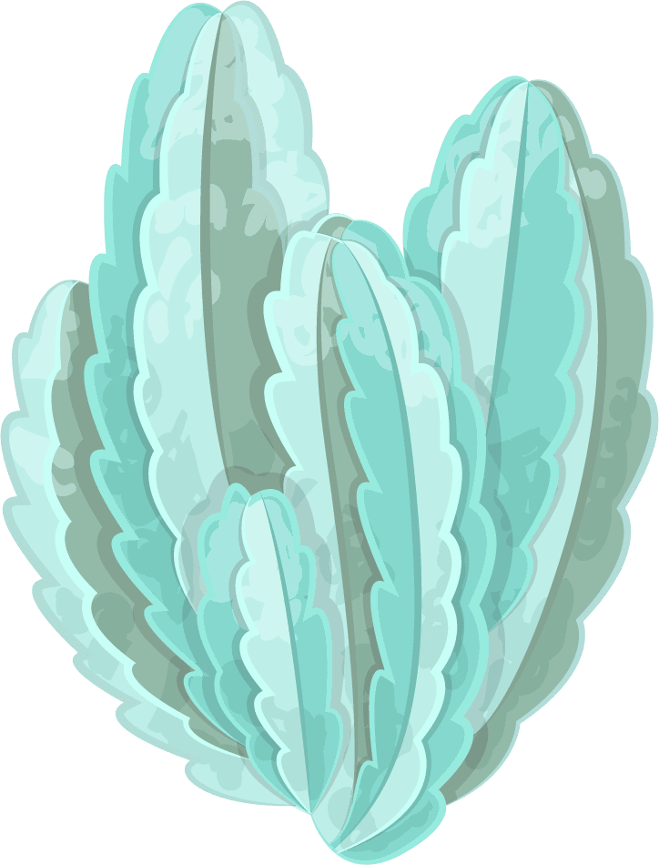 Simple cactus illustration, prickly pear cactus, golden barrel cactus, saguaro cactus, torch cactus, ball cactus, golden rat tail cactus