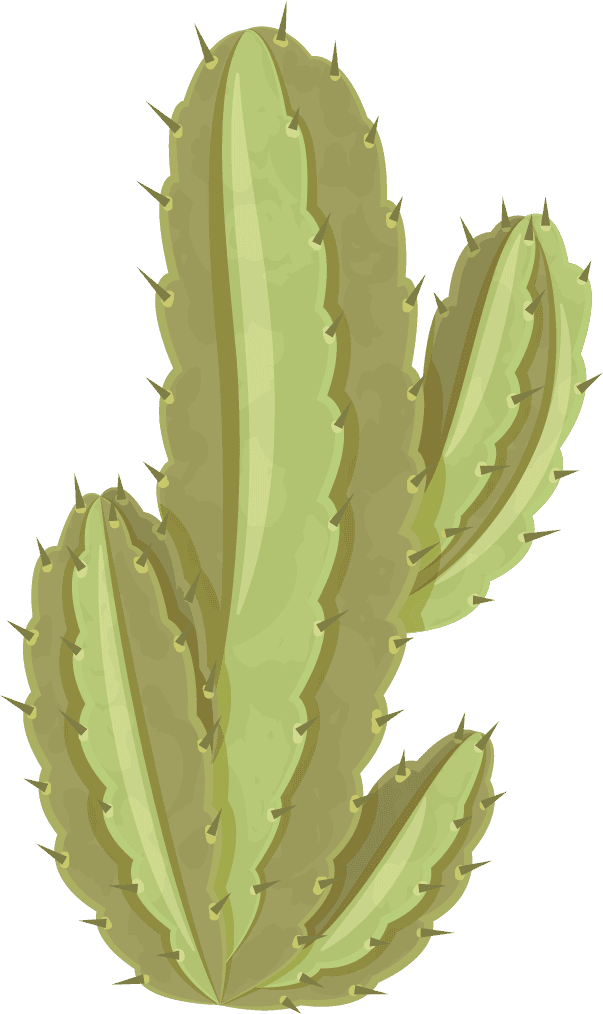 Simple cactus illustration, prickly pear cactus, golden barrel cactus, saguaro cactus, torch cactus, ball cactus, golden rat tail cactus