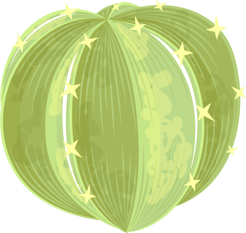 Simple cactus illustration, prickly pear cactus, golden barrel cactus, saguaro cactus, torch cactus, ball cactus, golden rat tail cactus