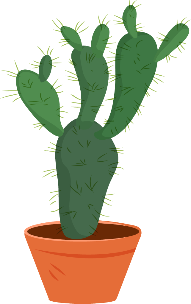 cactus icons collection colorful classical for nature lovers and plant enthusiasts