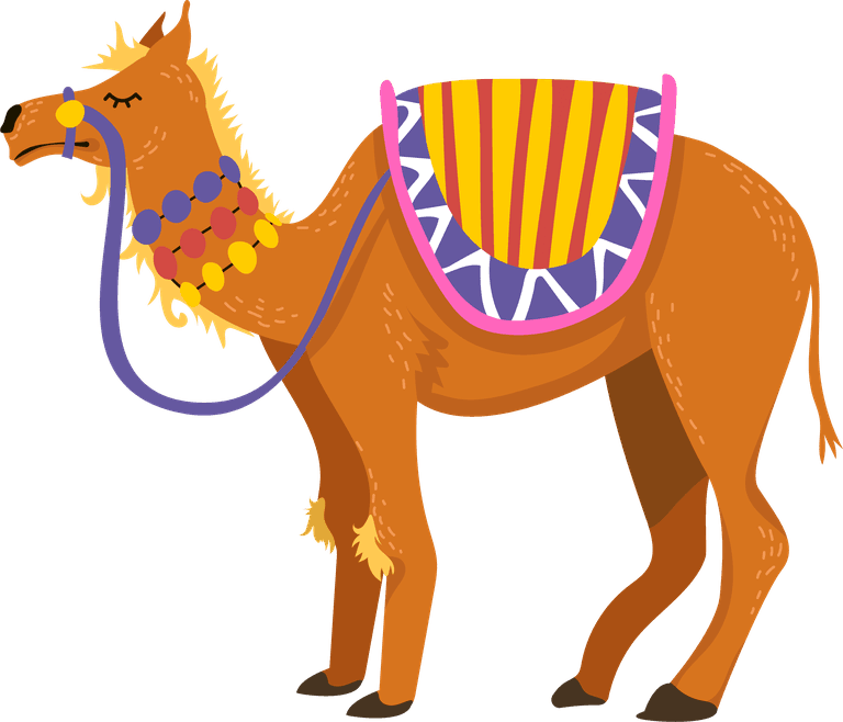 camel camel set desert caravan cartoon illustrations