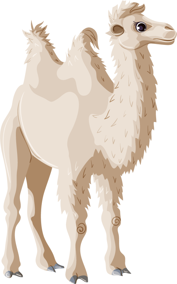 camel cartoon asian animals template for children’s educational materials and fun illustrations
