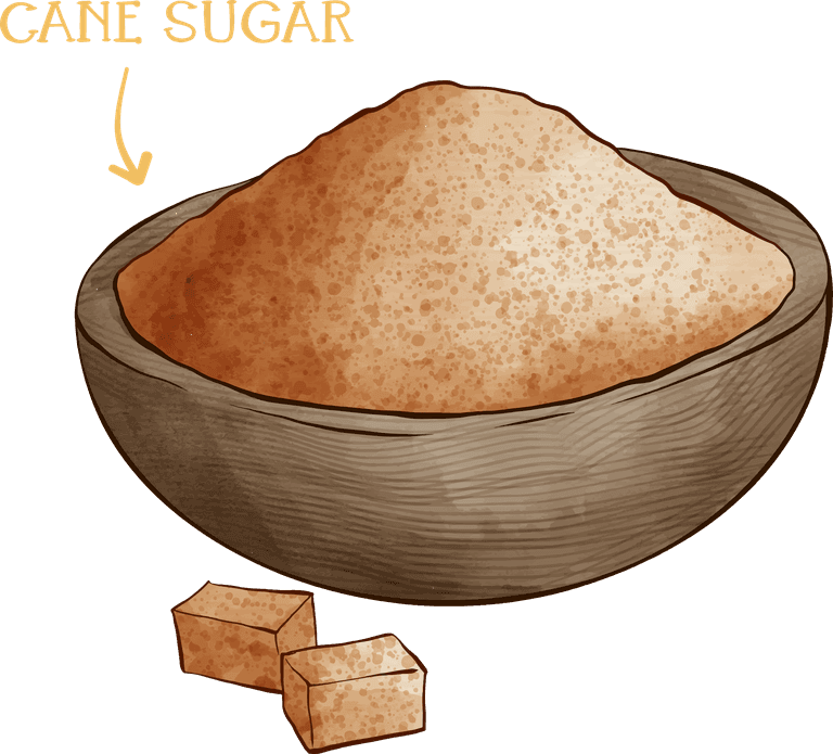 cane sugar hand drawn lemon cheesecake recipe