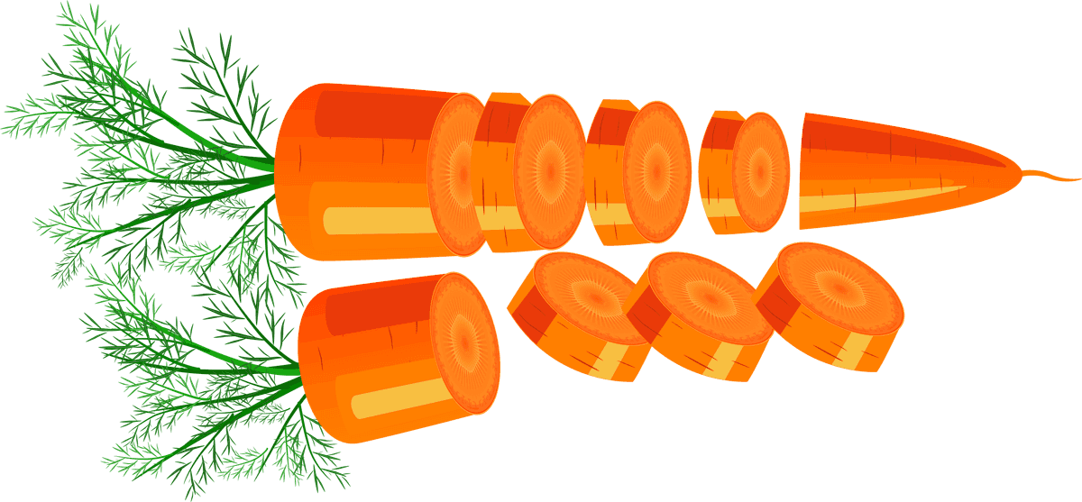 carrot decorative icons orange for fresh food illustrations and culinary use