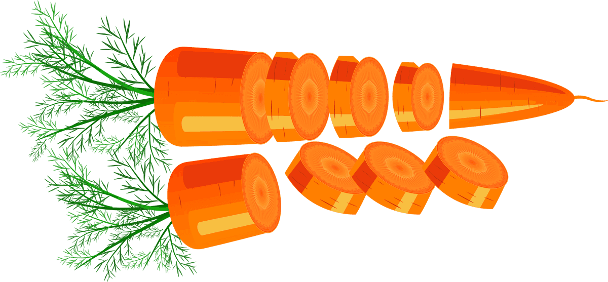 carrot decorative icons orange 