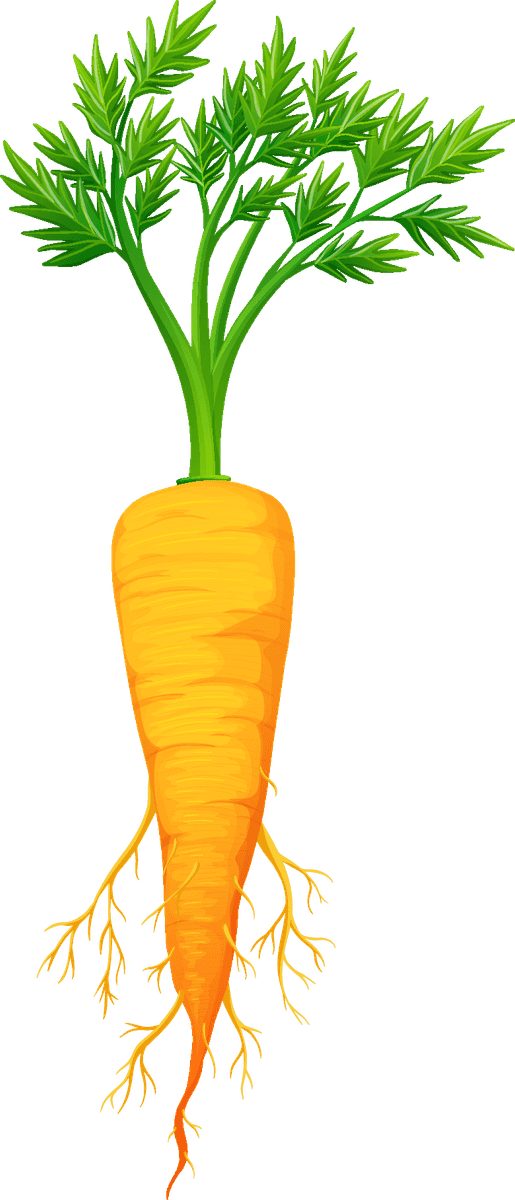 carrot pile fresh vegetables fruits for healthy recipes and vibrant kitchen decor