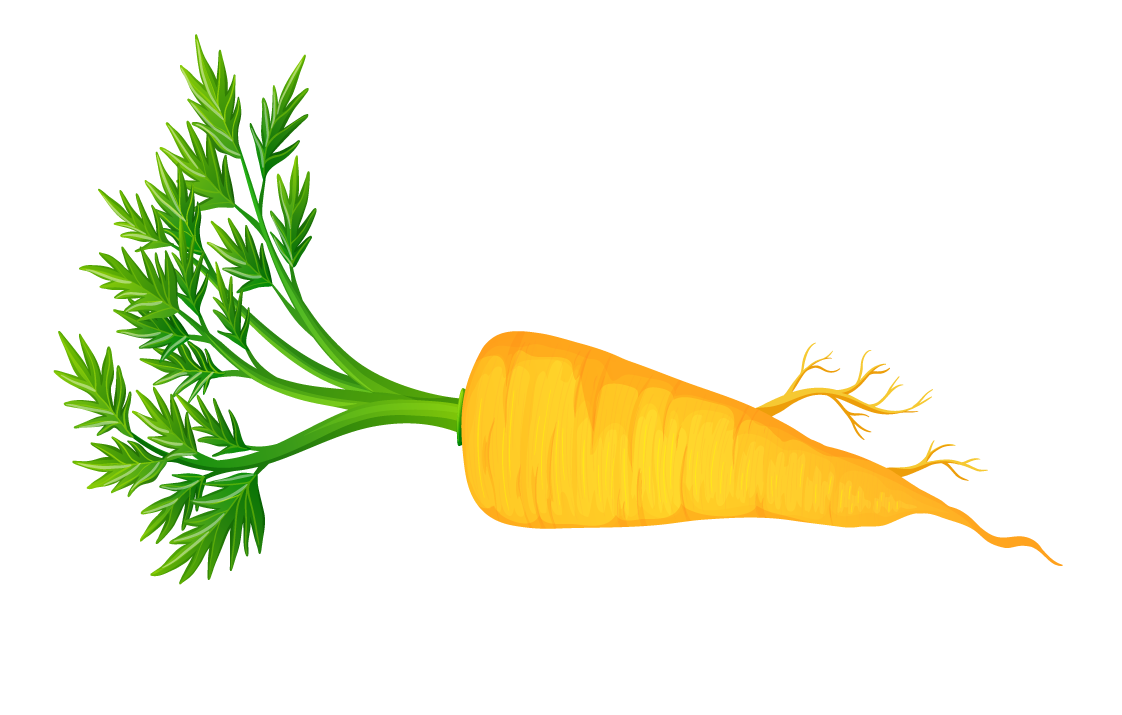 carrot pile fresh vegetables fruits for healthy meals and vibrant dishes