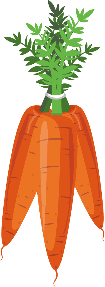 carrot vegetables icons colorful classic 