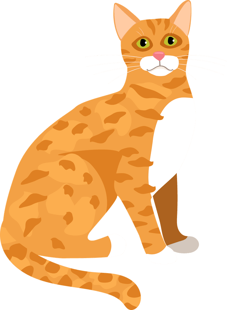 cat cartoon kitties cats with different colored fur markings standing sitting walking