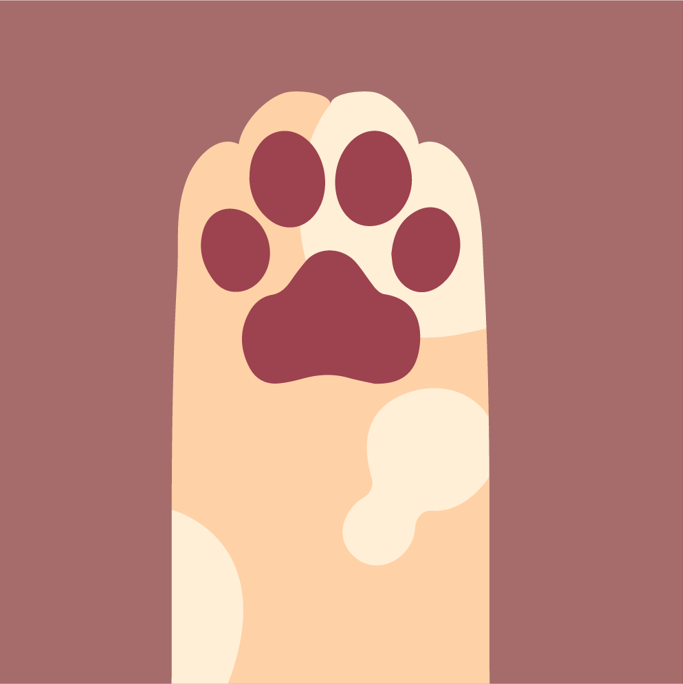 cats paws flat style