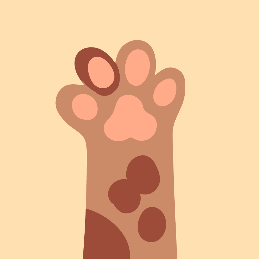 cute cats paws flat style illustration with soft colors and playful features