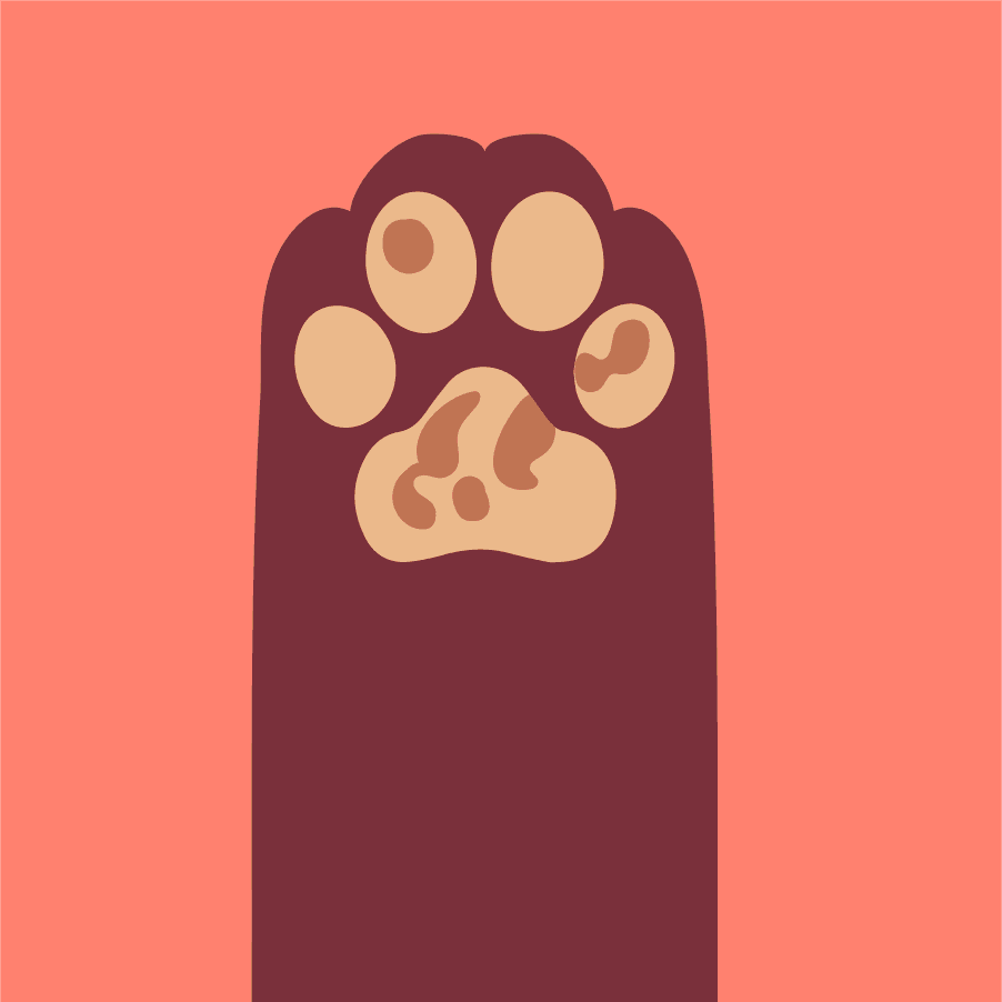 cats paws flat style