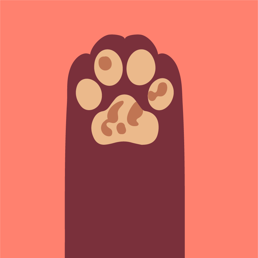 cats paws flat style