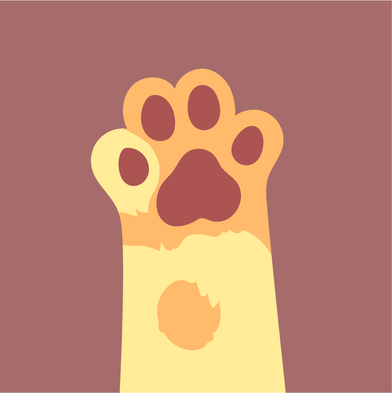 cats paws flat style illustration for pet lovers and cat enthusiasts