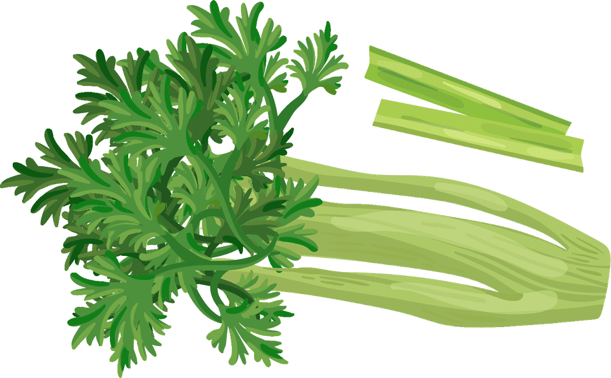 celery vegetables herbs collection for fresh cooking and healthy meals inspiration