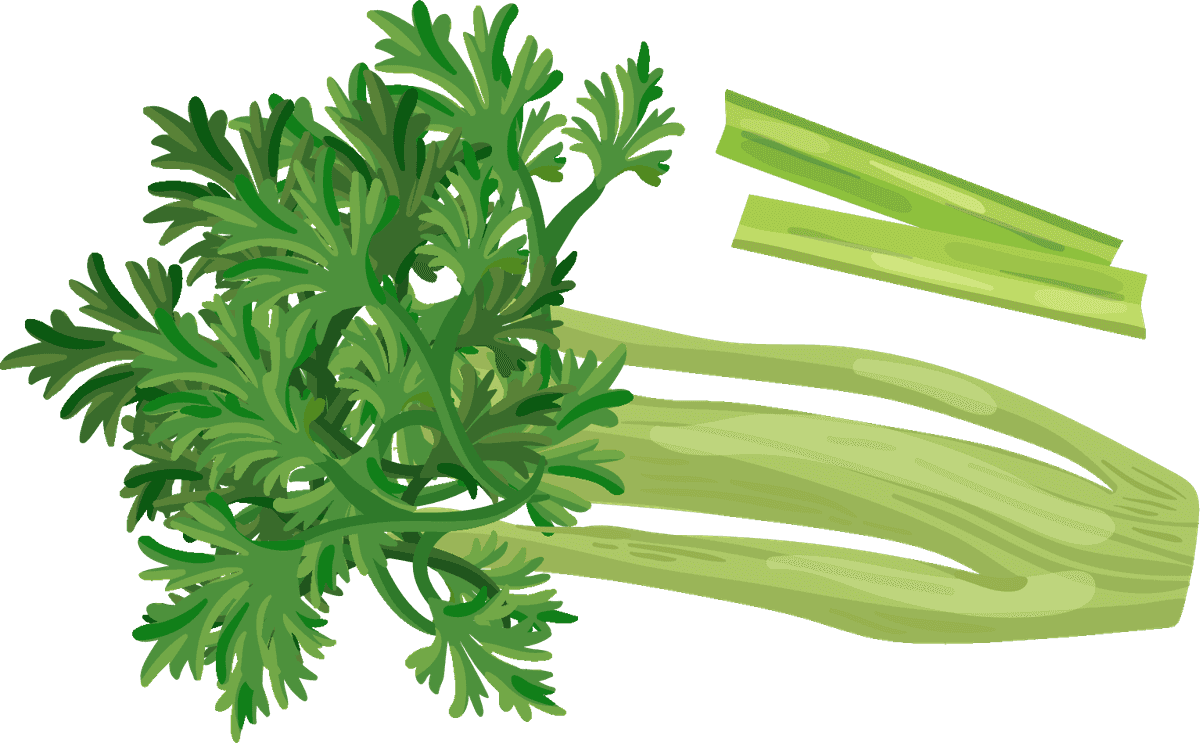 celery vegetables herbs collection