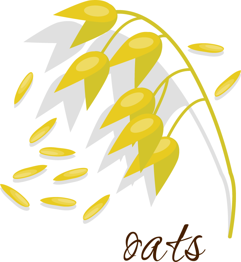 cereals icon rice corn soybean buckwheat
