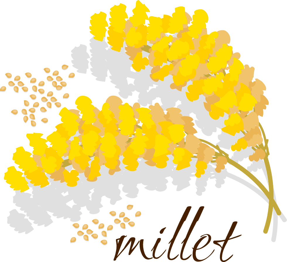 cereals icon rice corn soybean buckwheat