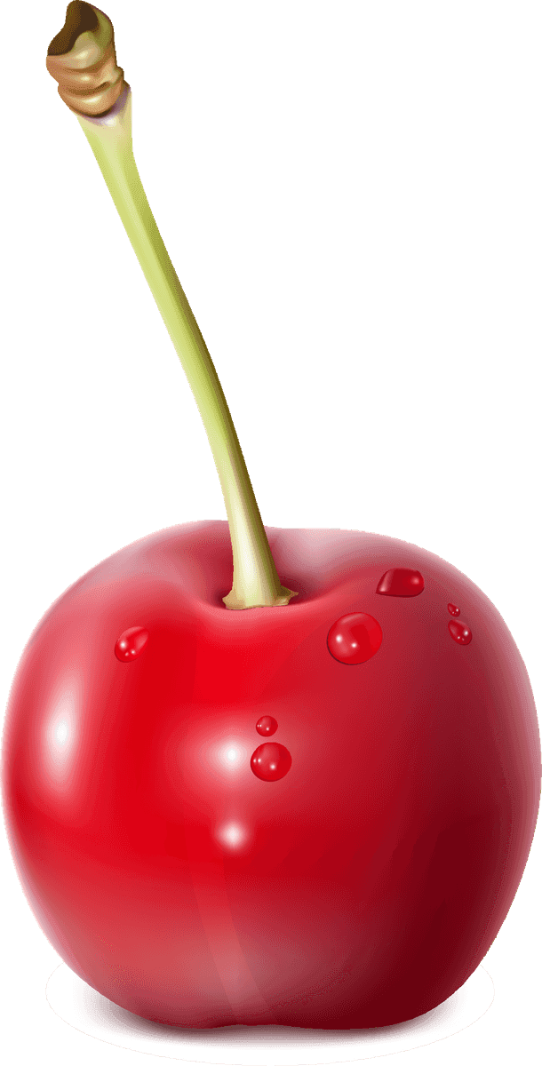 cherry cherry and chocolate vector illustration of a ripe cherry with a glossy finish