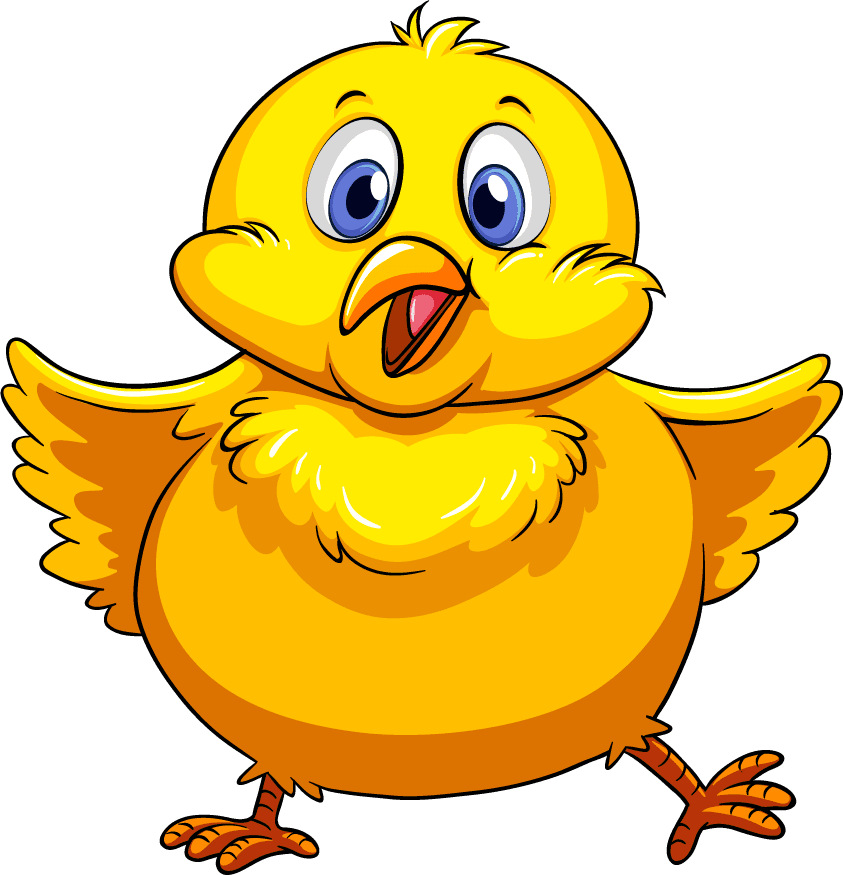 chick chicken fresh eggs illustration with cheerful yellow character for farm themes